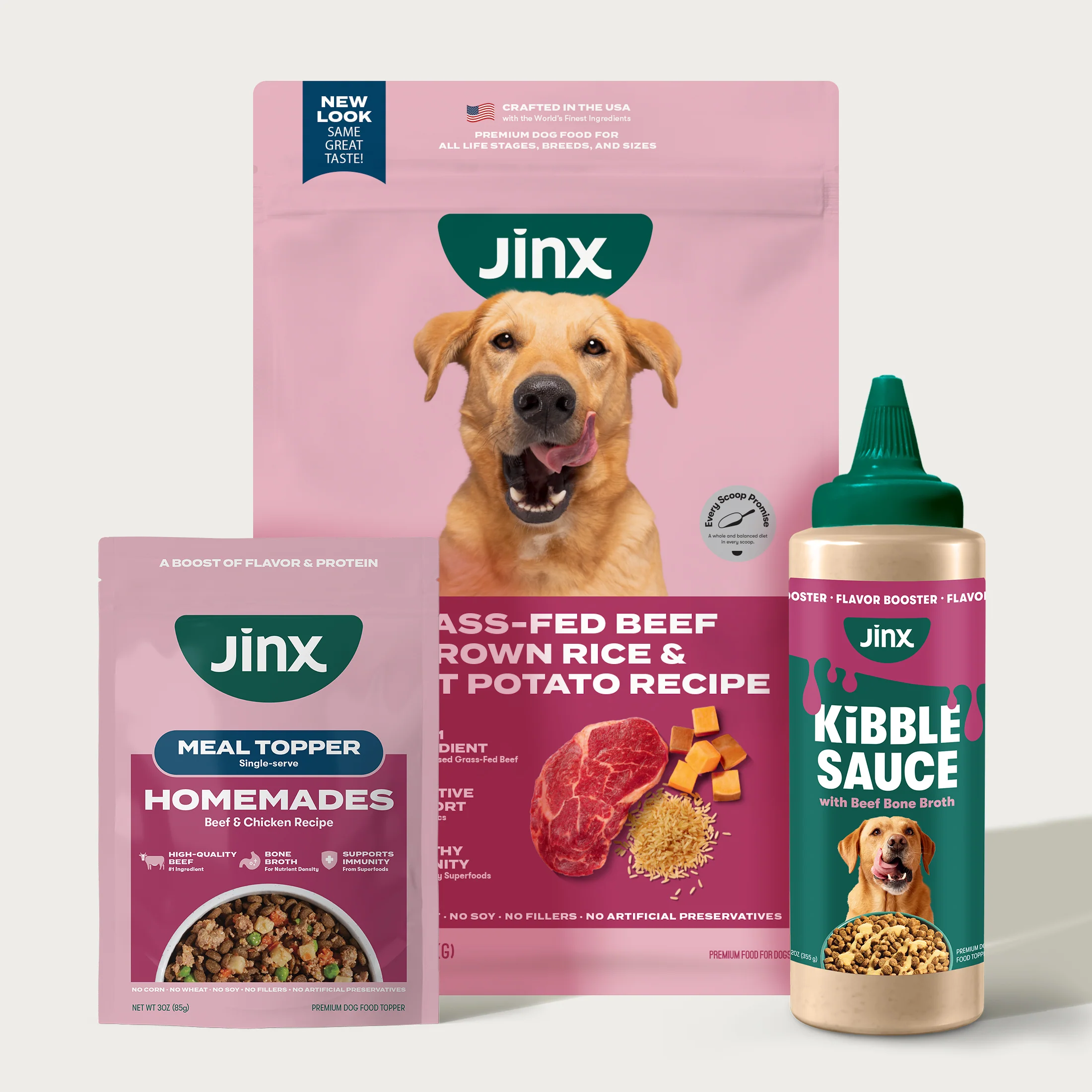 Dog Food Best Bowl