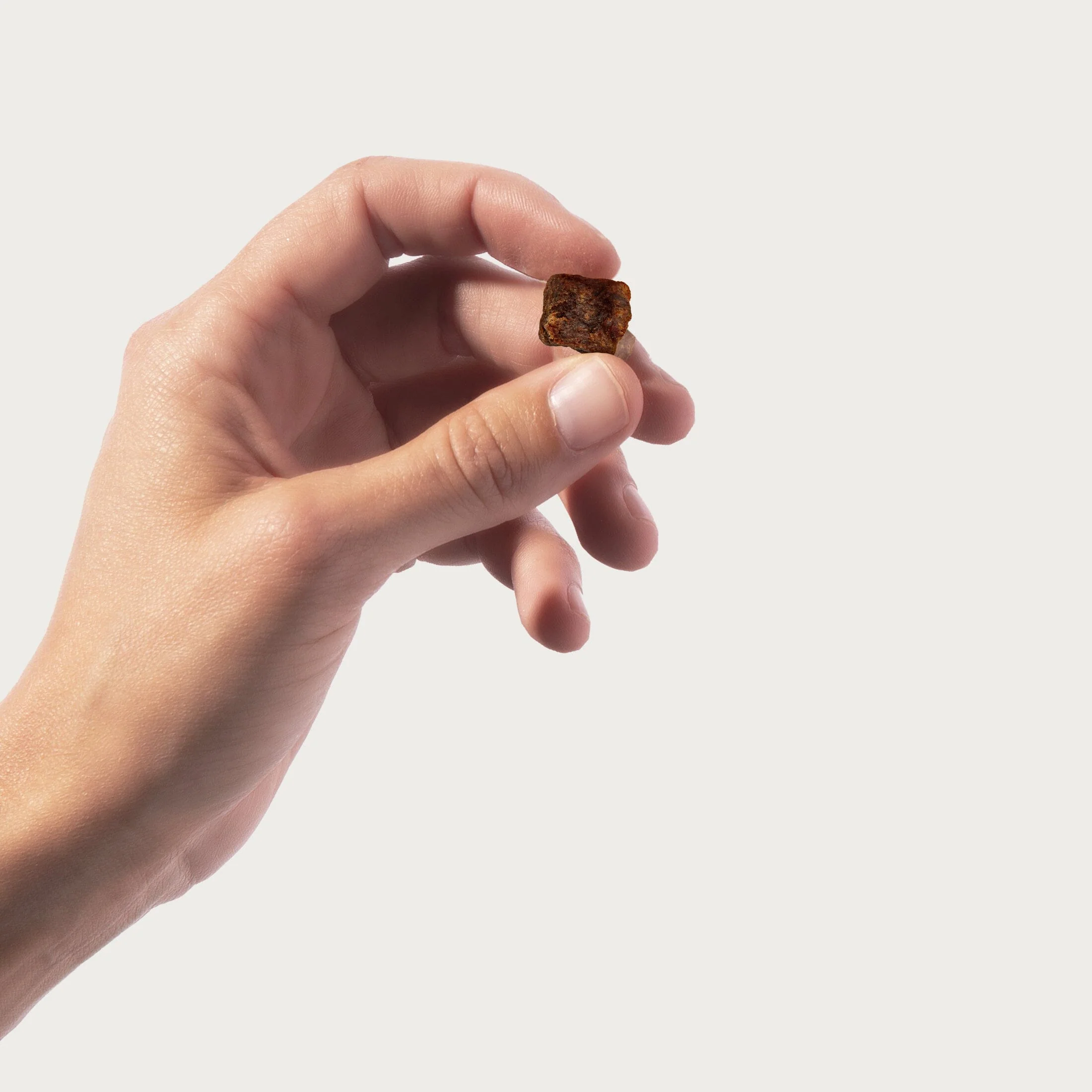 Beef Jerky Bites - Image 4