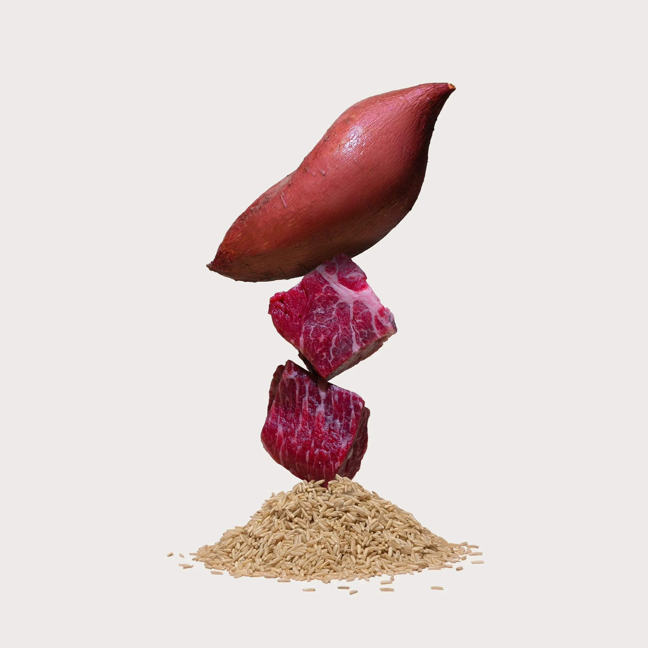 Grass-Fed Beef Dog Food - Image 4