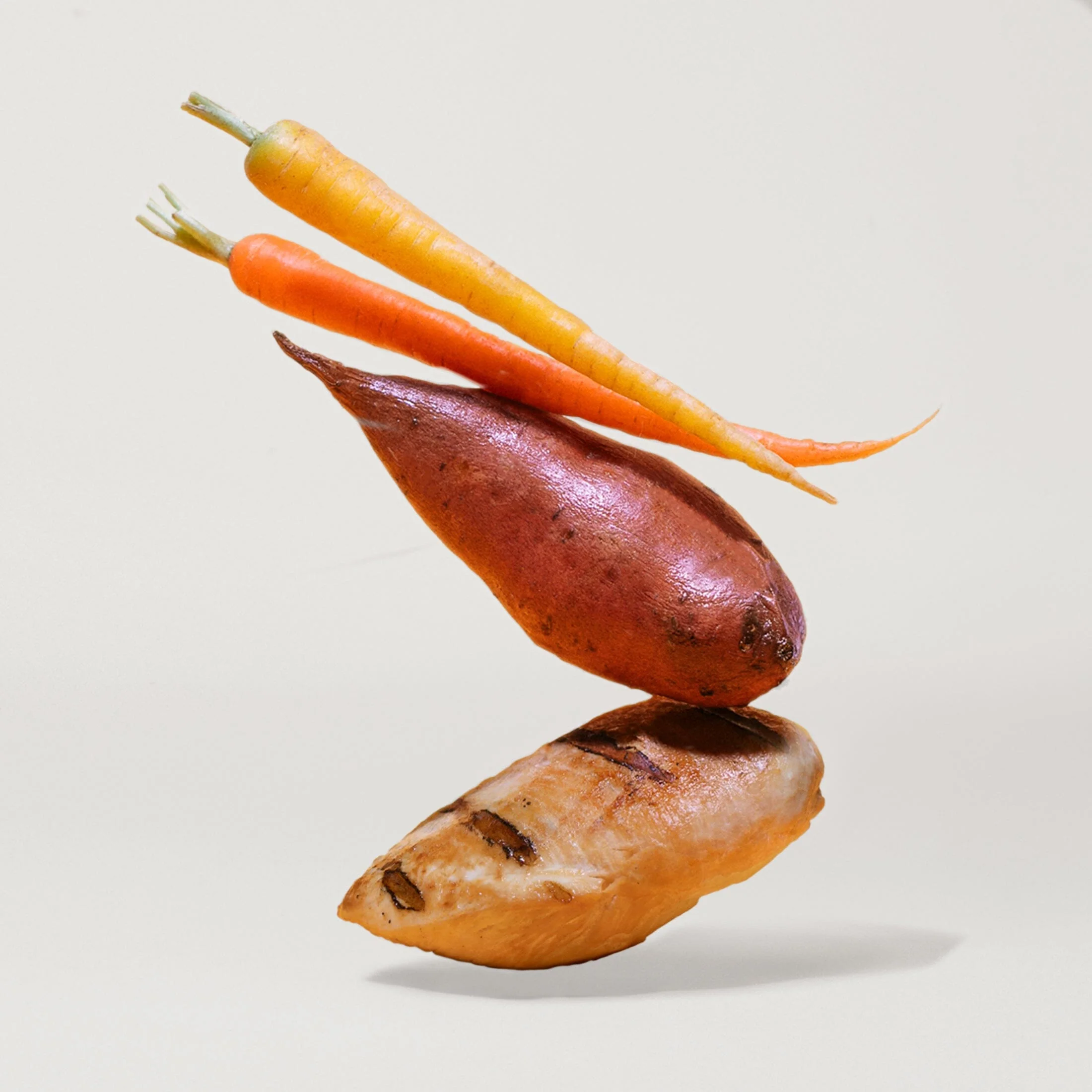 Grain-Free Cage-Free Chicken Dog Food - Image 4