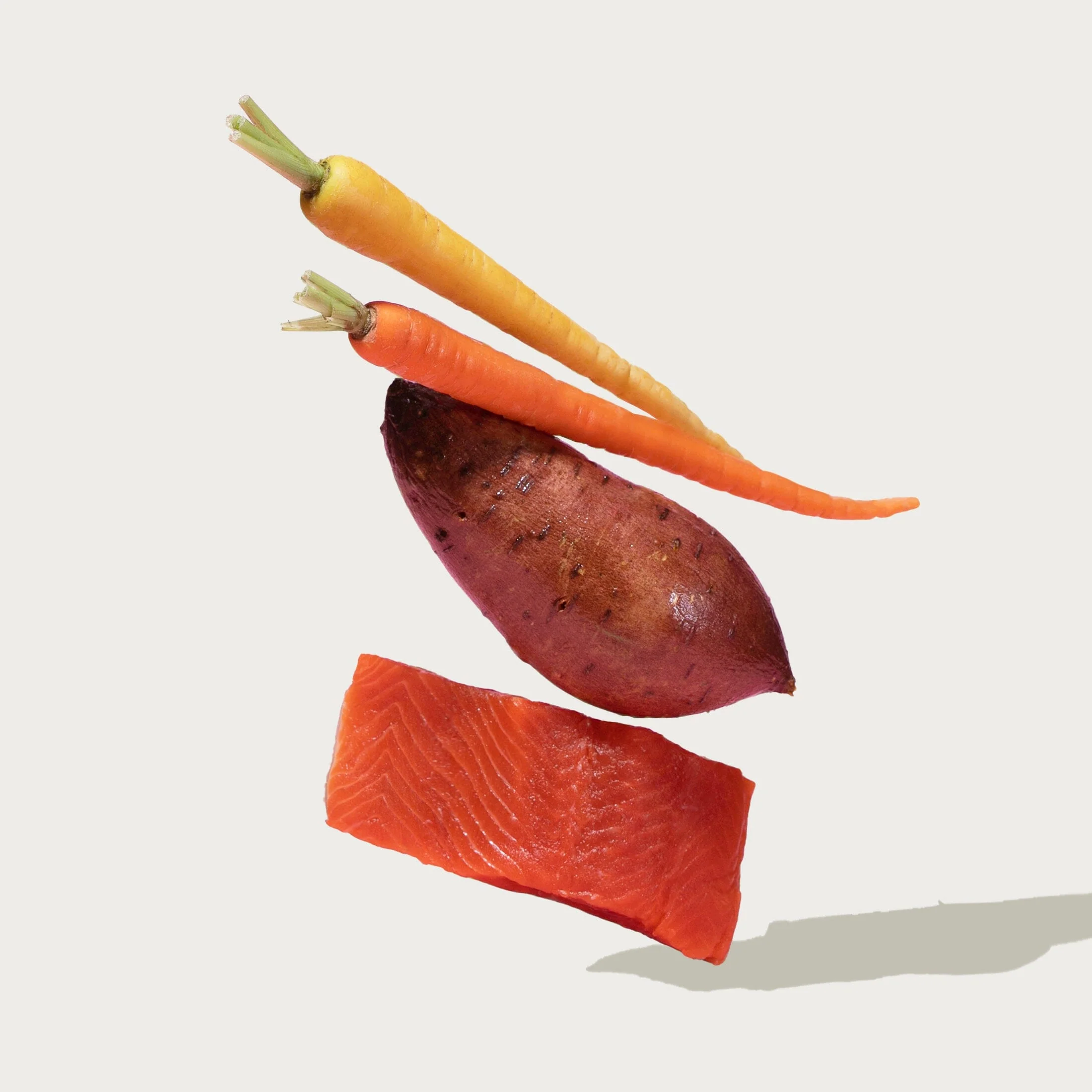 Grain-Free Salmon Paté Wet Dog Food - Image 4