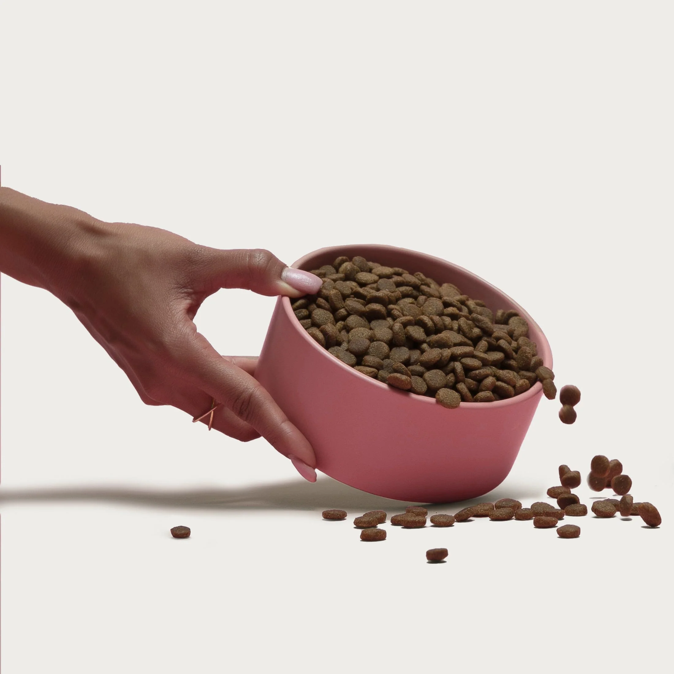 Grain-Friendly Kibble Sampler - Image 4
