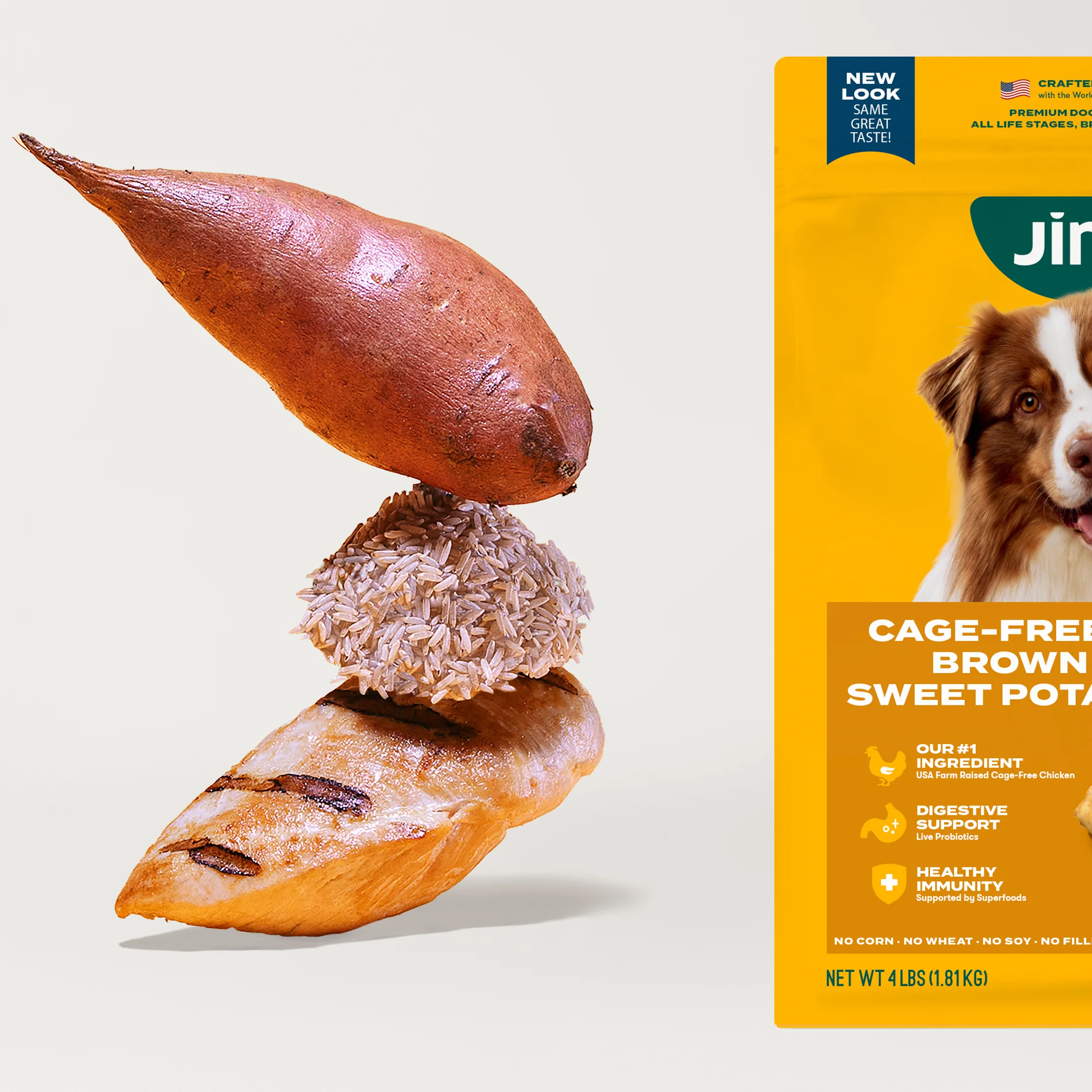 Grain-Friendly Dog Food Sampler - Image 5
