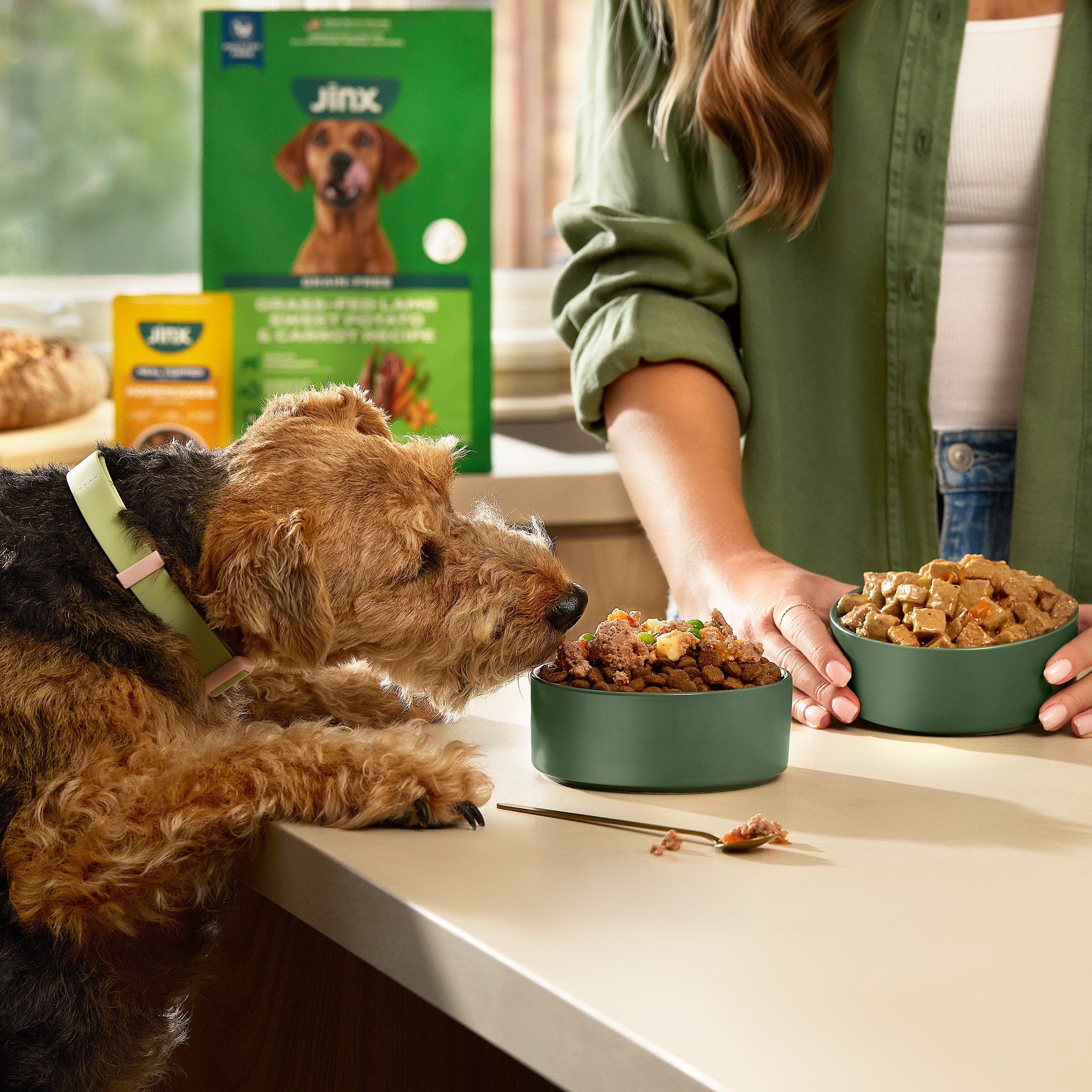 Grass-Fed Lamb Dog Food - Image 5