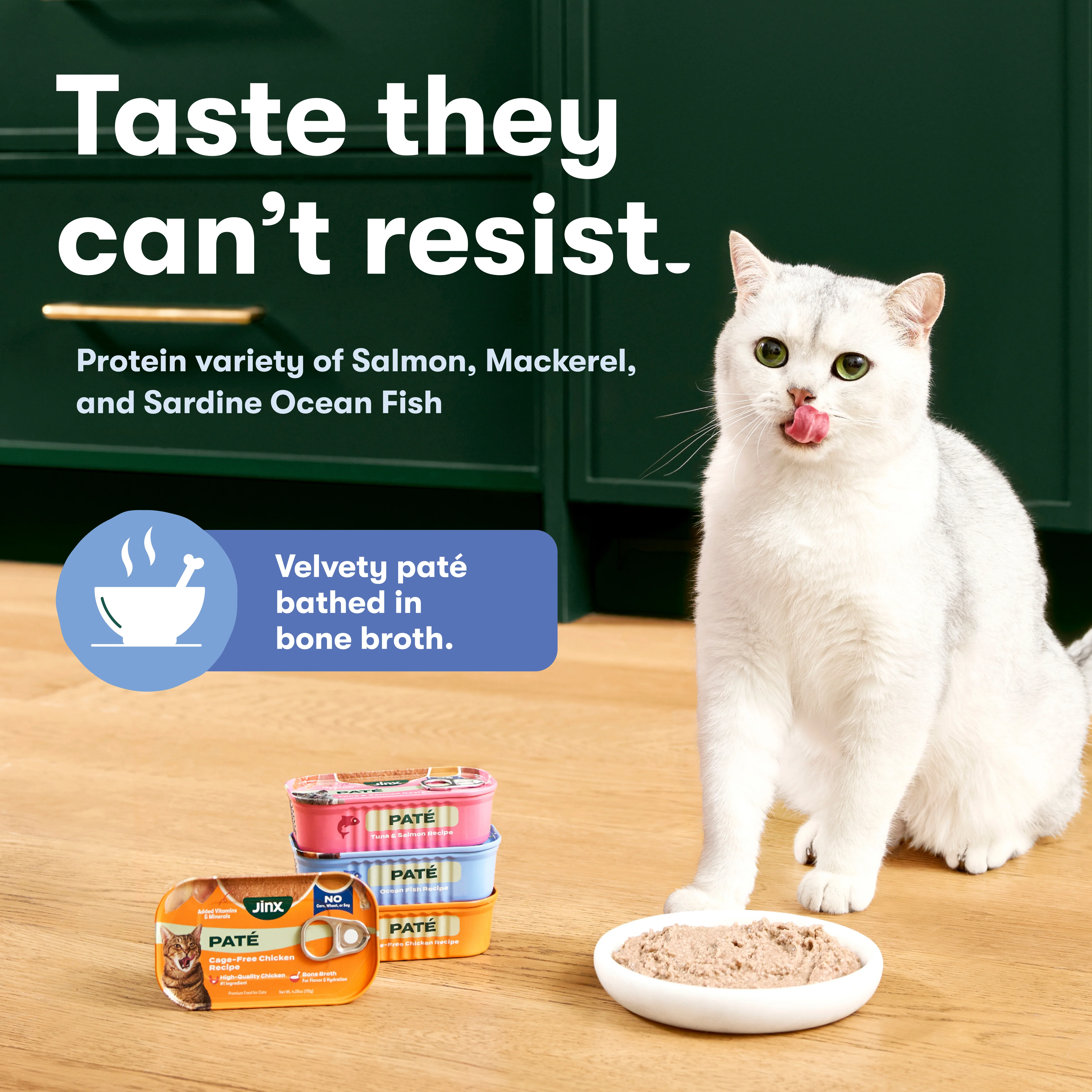 Ocean Fish Cat Paté - Image 3