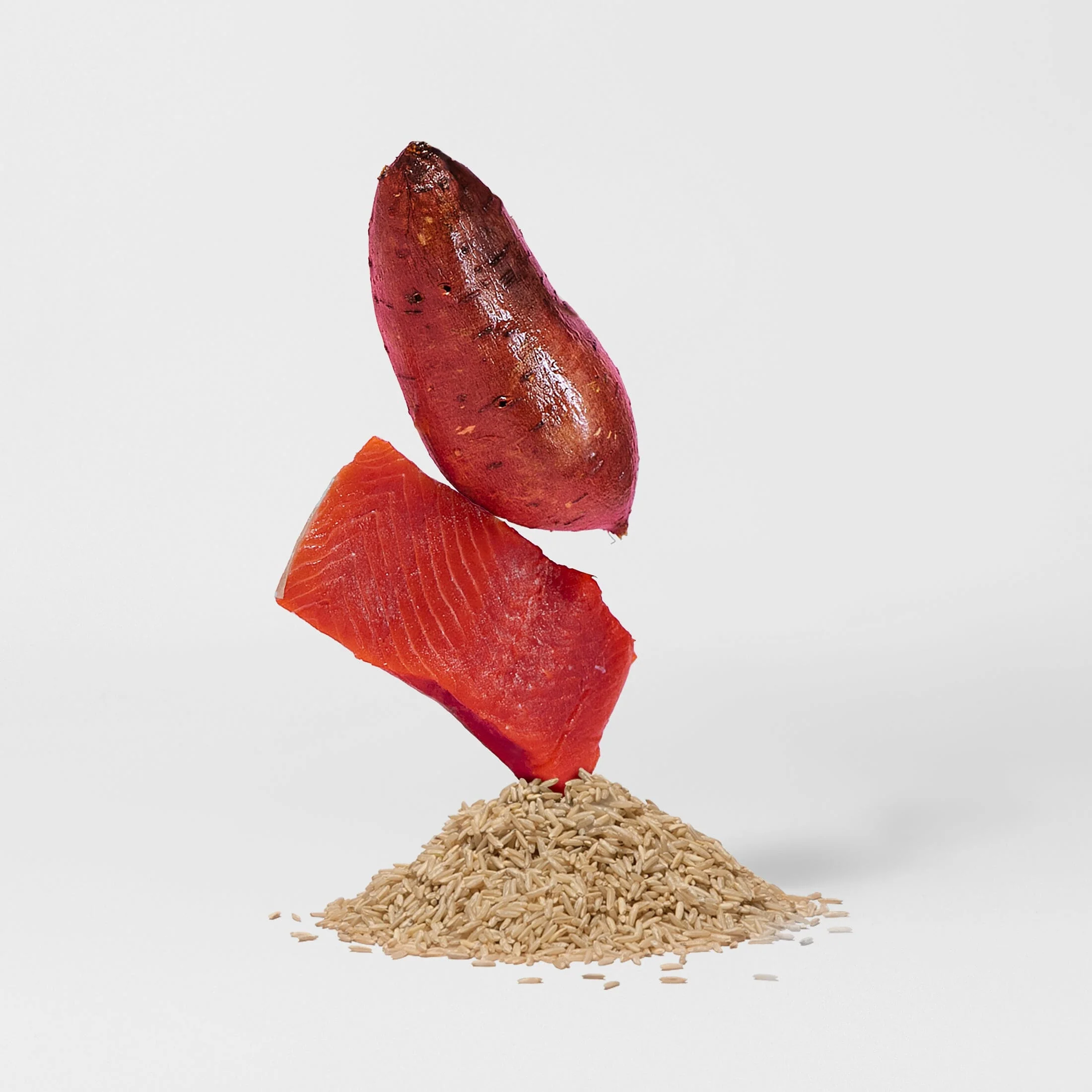 Atlantic Salmon Dog Food - Image 4