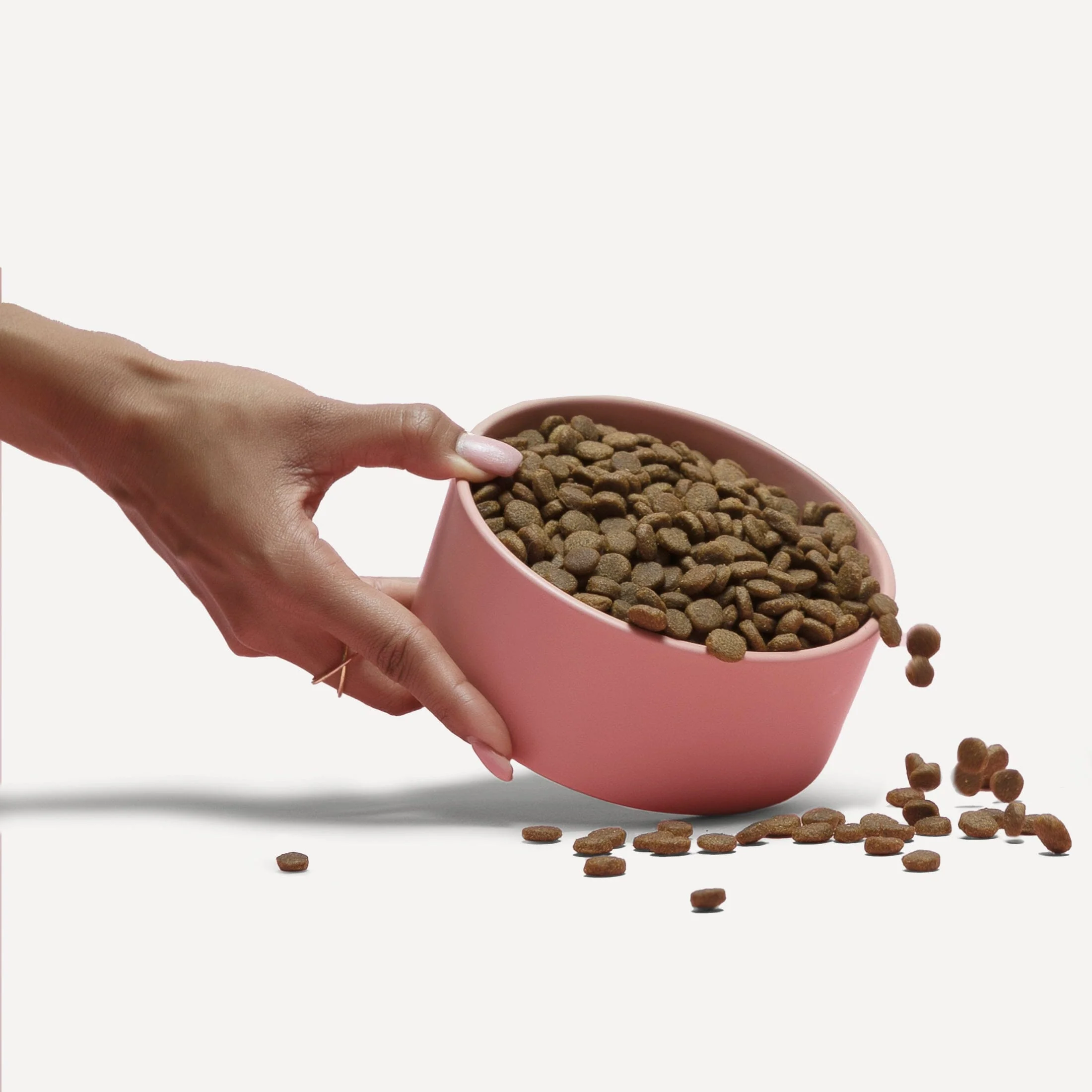 Atlantic Salmon Dog Food - Image 5