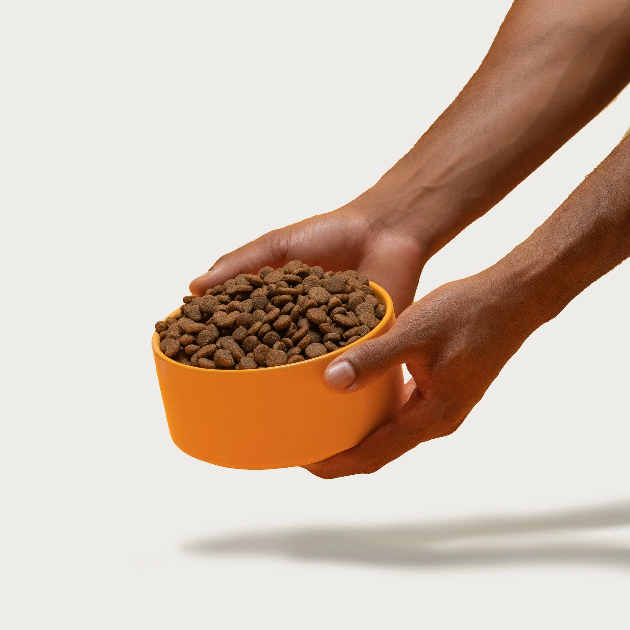 Cage-Free Chicken Dog Food - Image 5