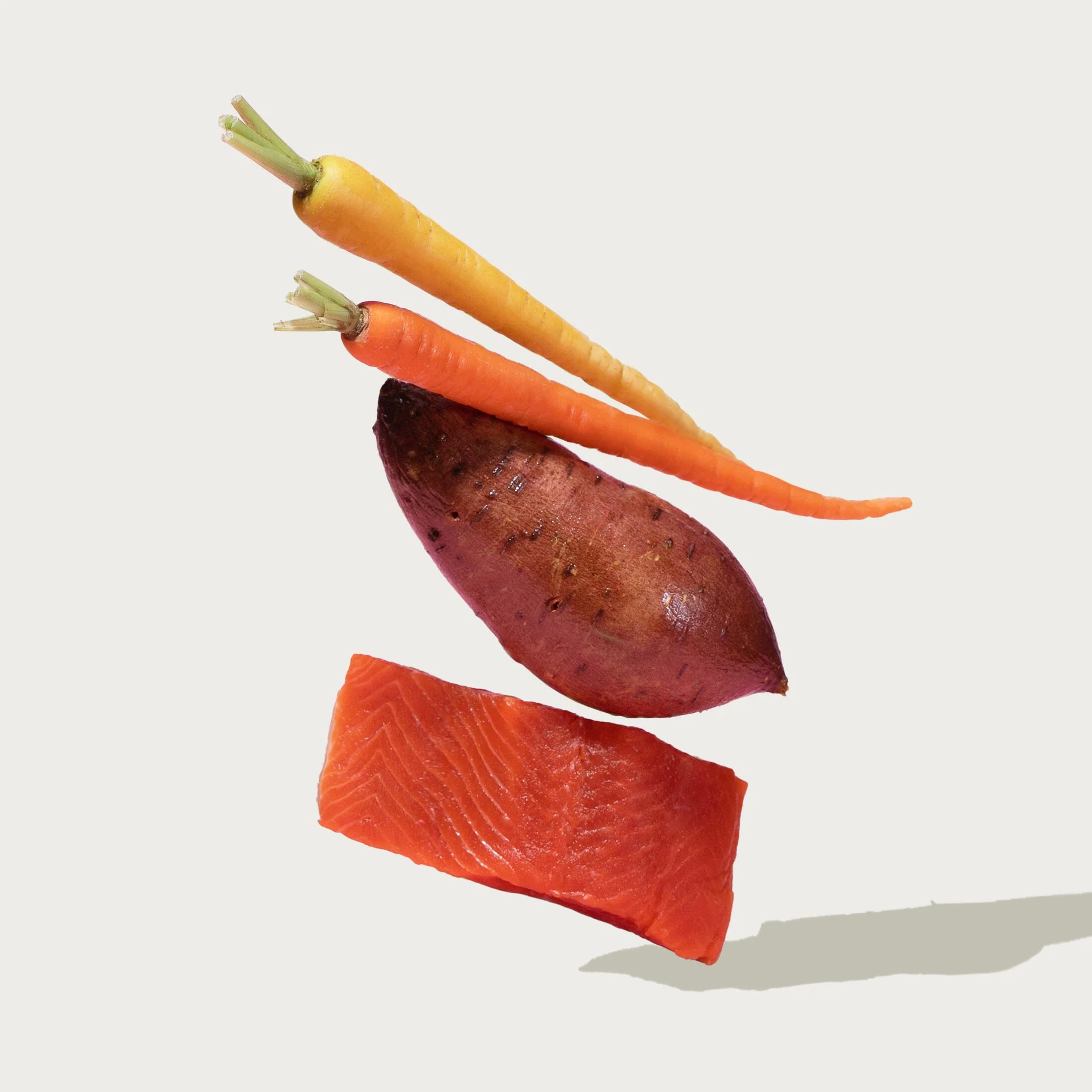 Grain-Free Atlantic Salmon Dog Food - Image 4