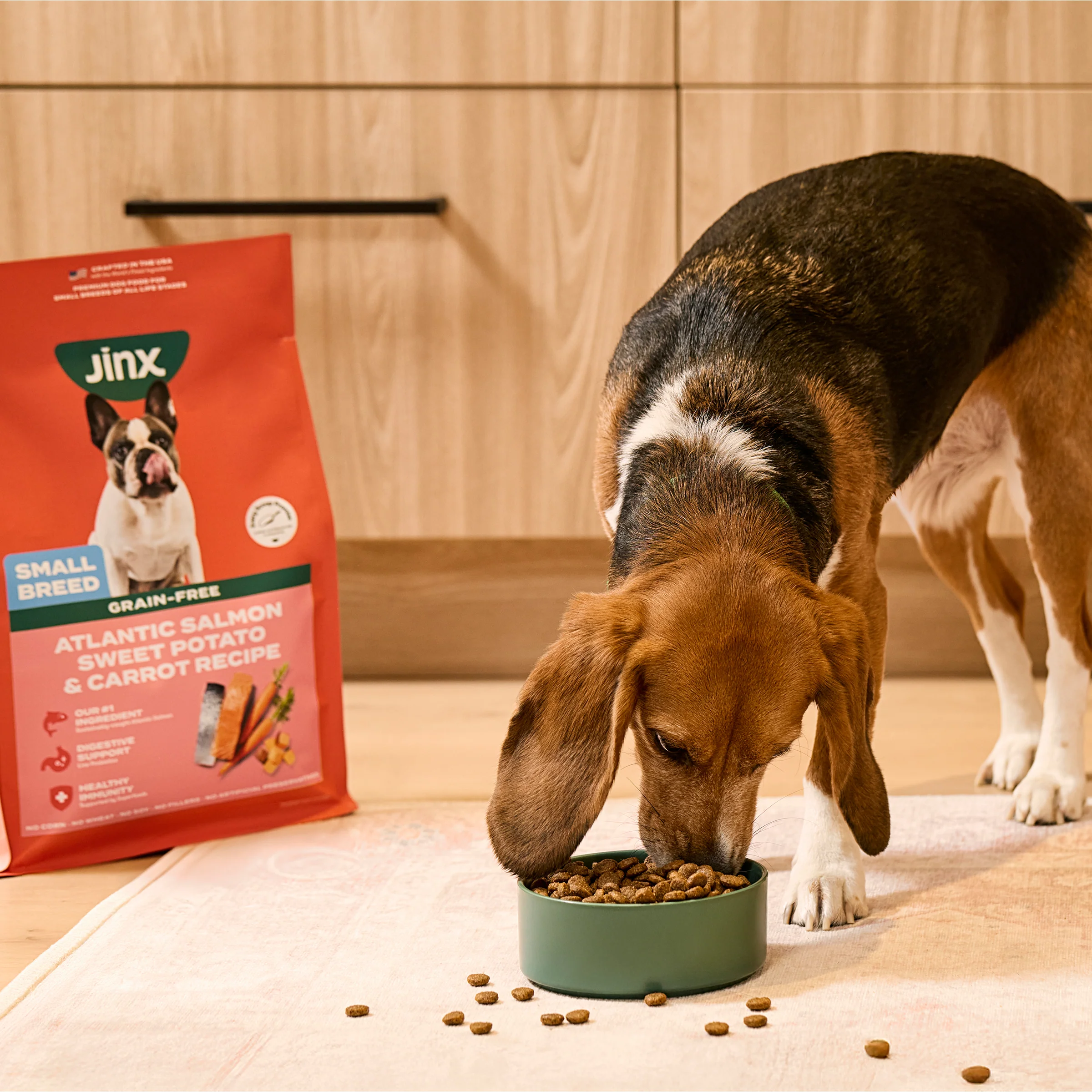 Small Breed Grain-Free Atlantic Salmon Dog Food - Image 6