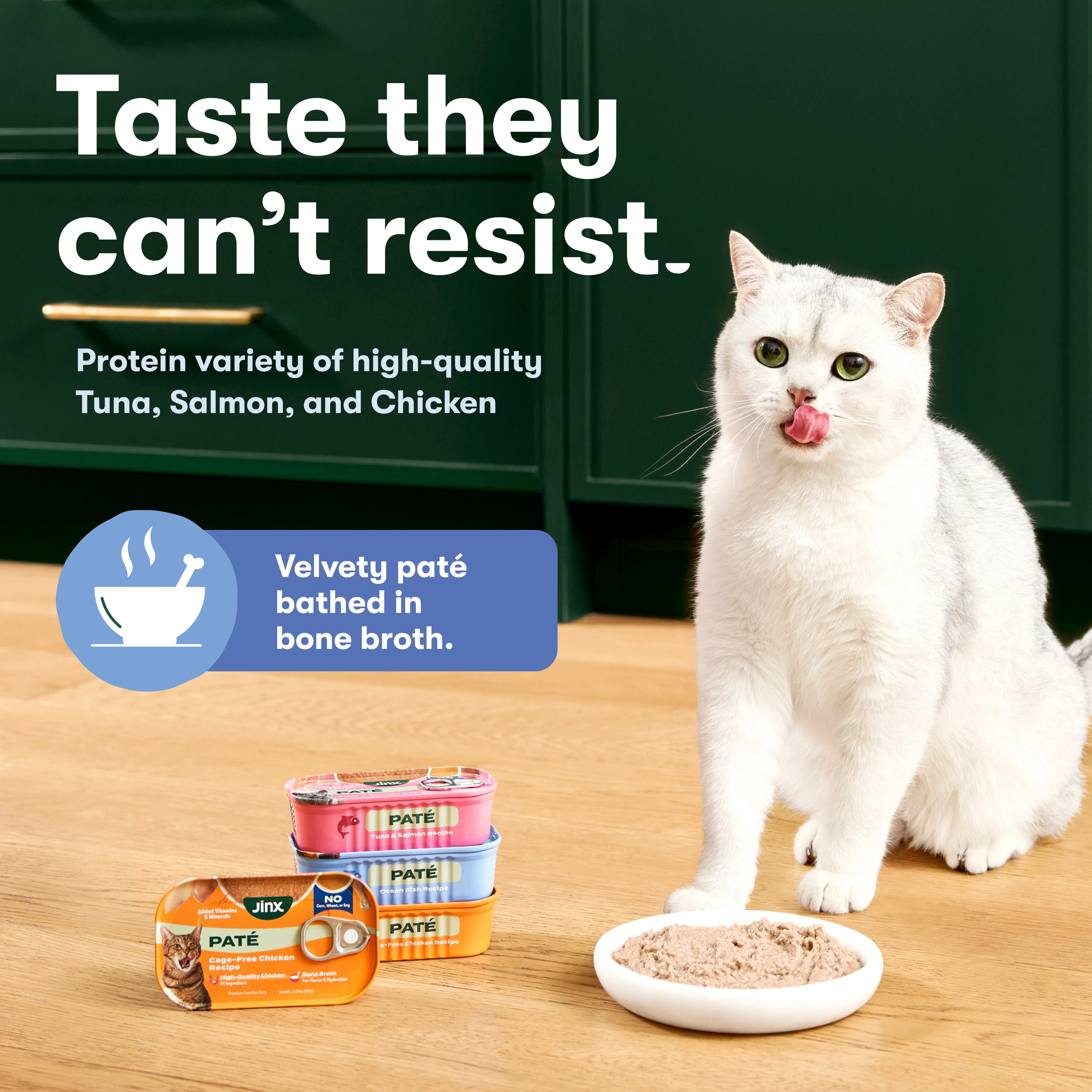 Tuna & Salmon Cat Paté - Image 3