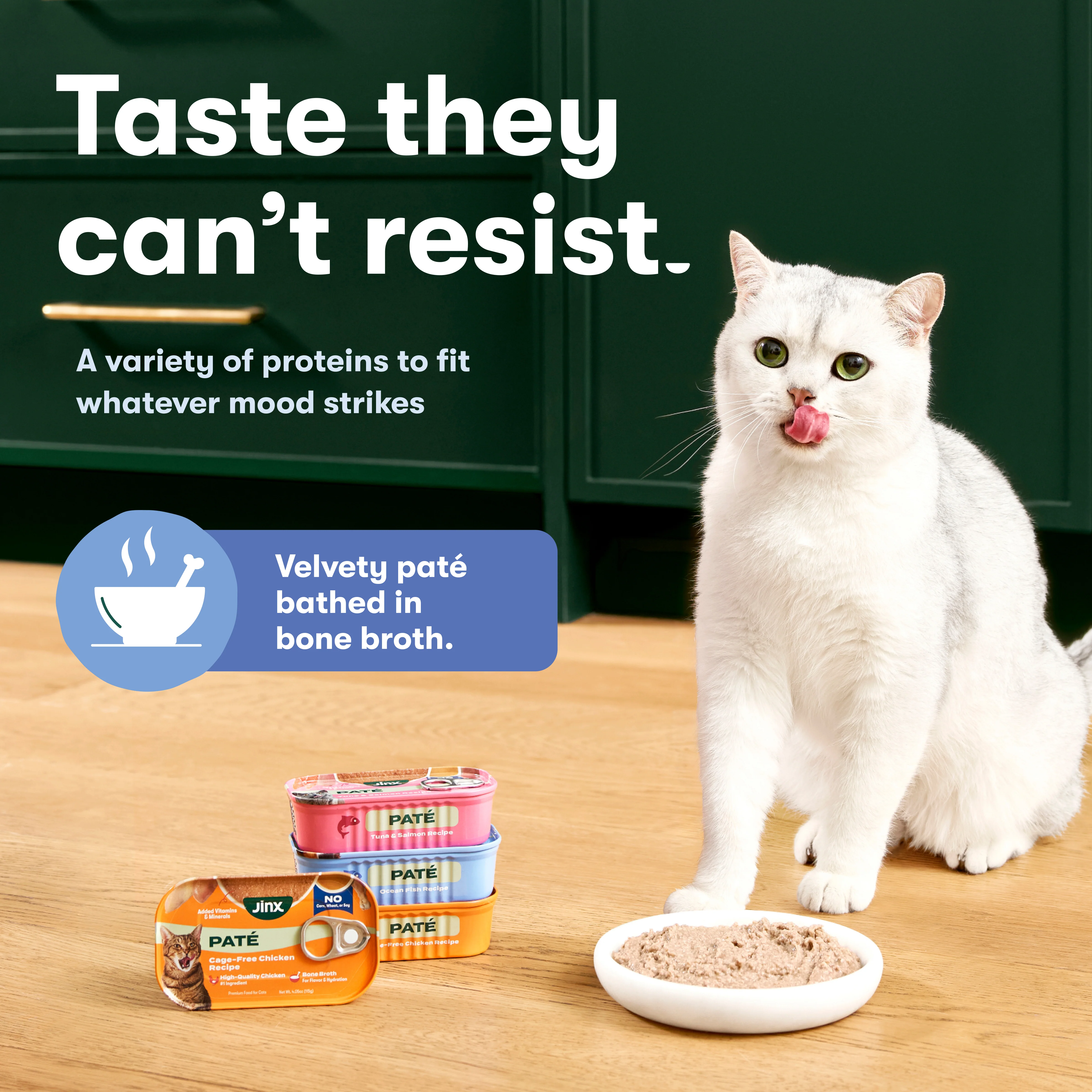 Variety Pack Cat Paté - Image 3
